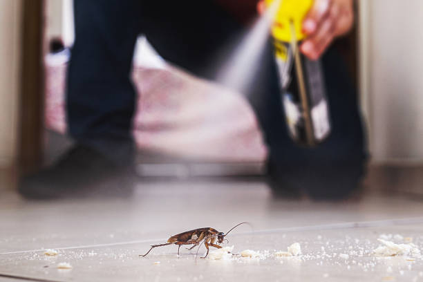 Best Pest Prevention Services  in Oakridge, OR