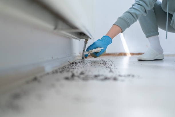 Best Residential Pest Control  in Oakridge, OR